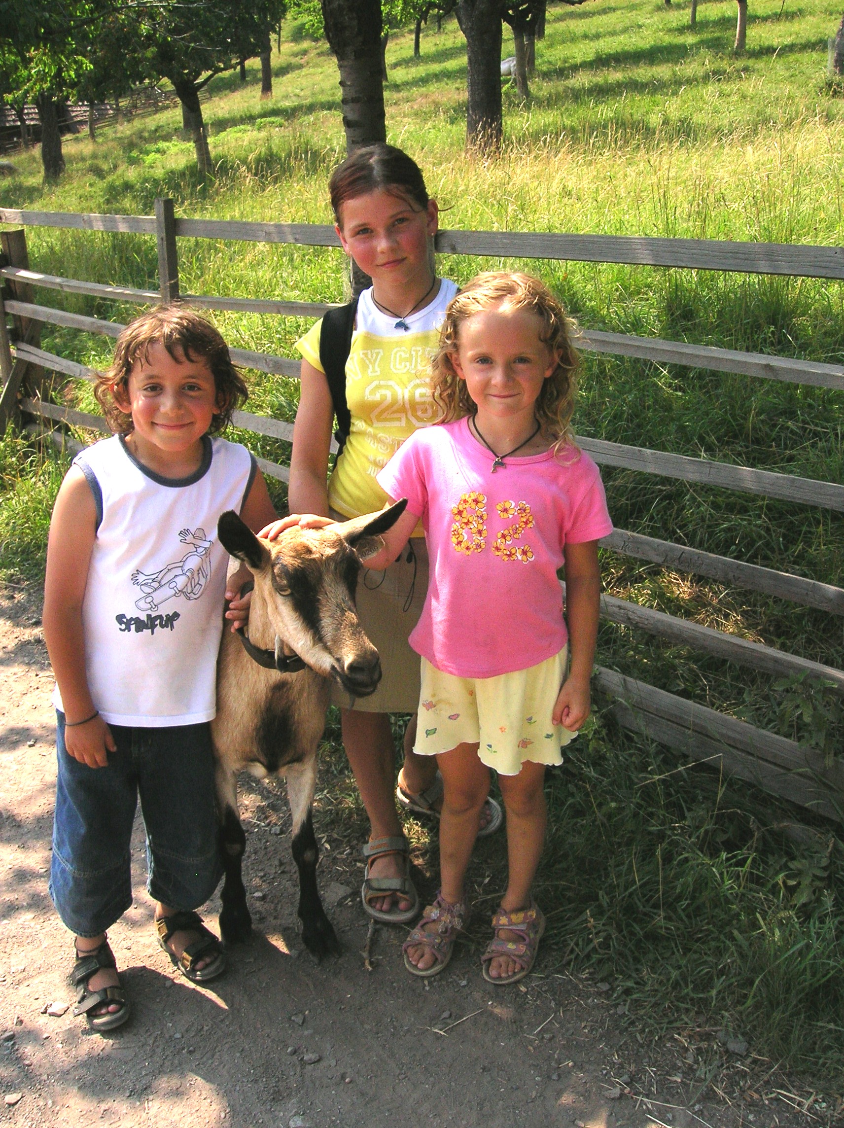 Snímek 090.jpg